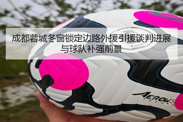 成都蓉城冬窗锁定边路外援引援谈判进展与球队补强前景